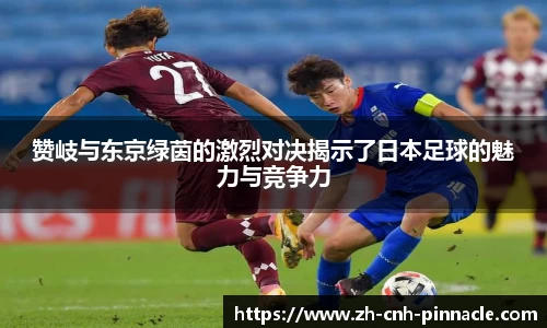 平博pinnacle首页